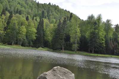 Torkul Yaylası ve Göleti